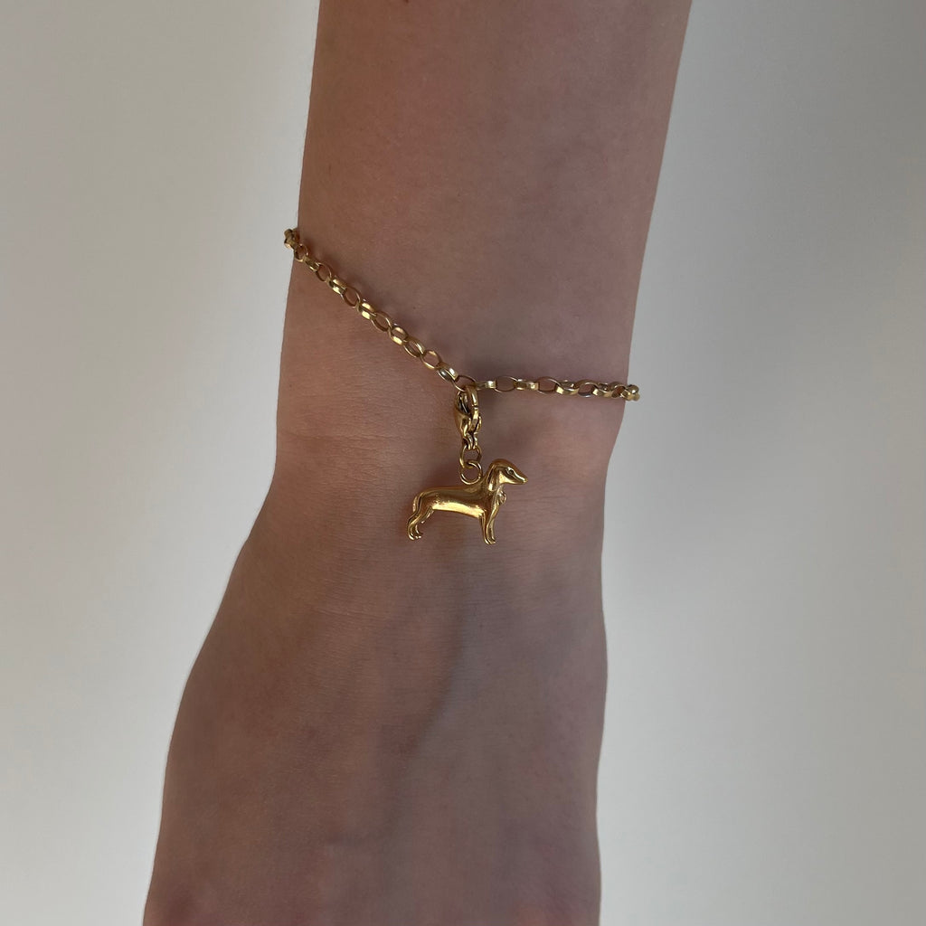 Ein goldener Hundeanhänger an einem goldenen Armband hängt am Handgelenk vor weißem Hintergrund