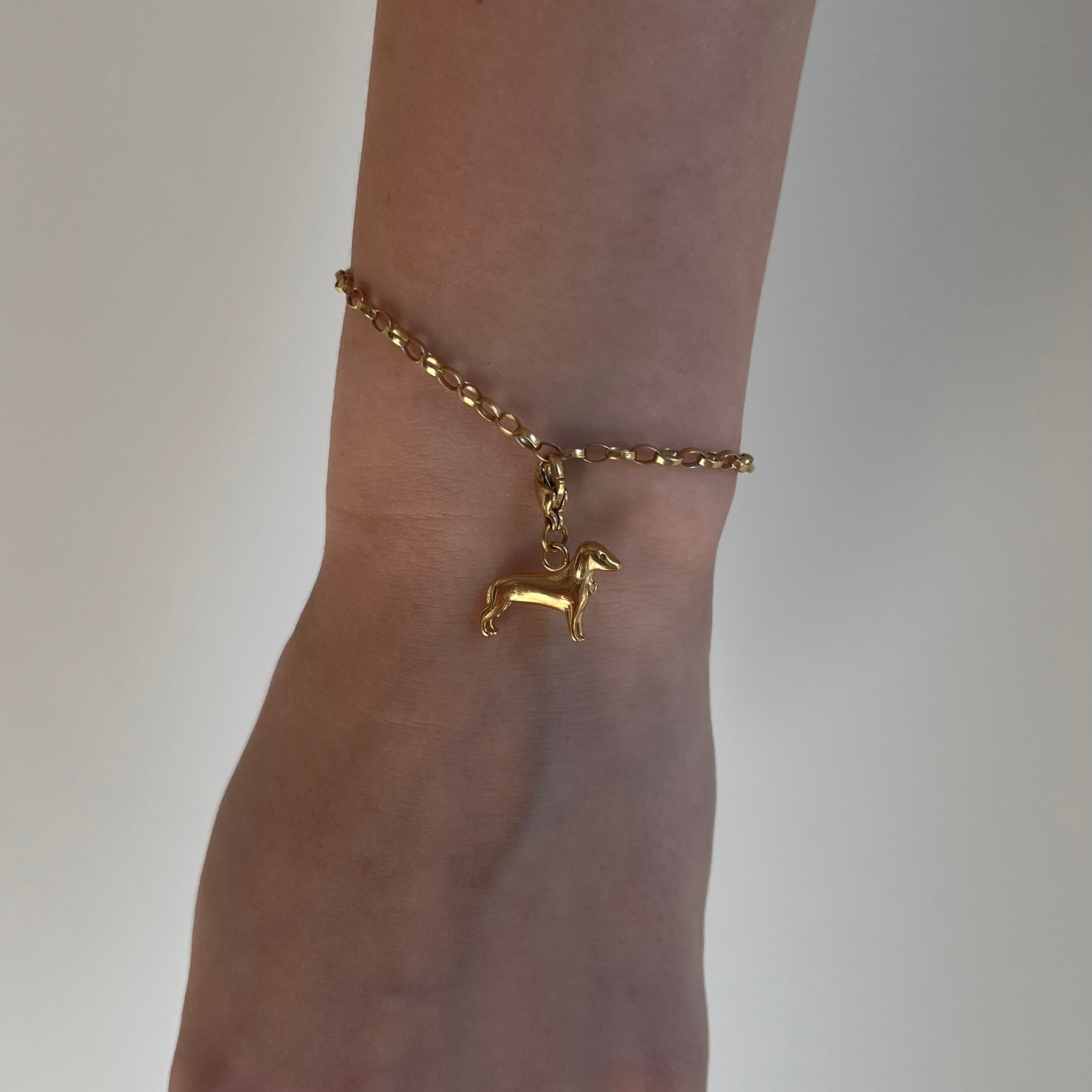 Ein goldener Hundeanhänger an einem goldenen Armband hängt am Handgelenk vor weißem Hintergrund