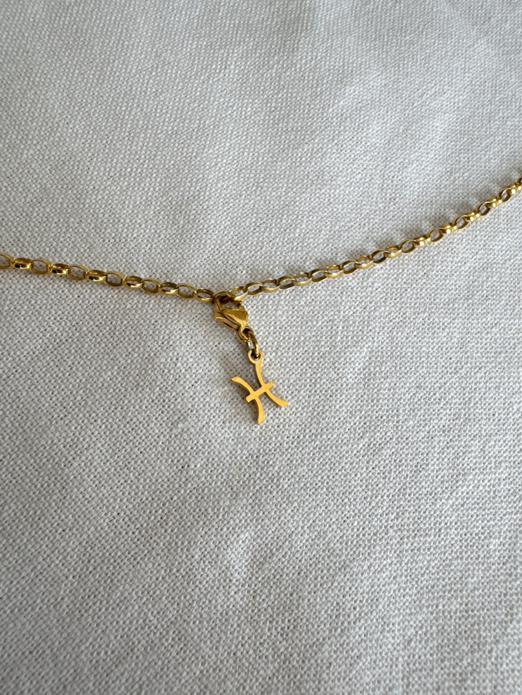 Fische Sternzeichen Charm