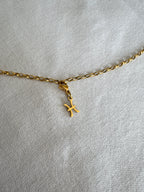 Fische Sternzeichen Charm