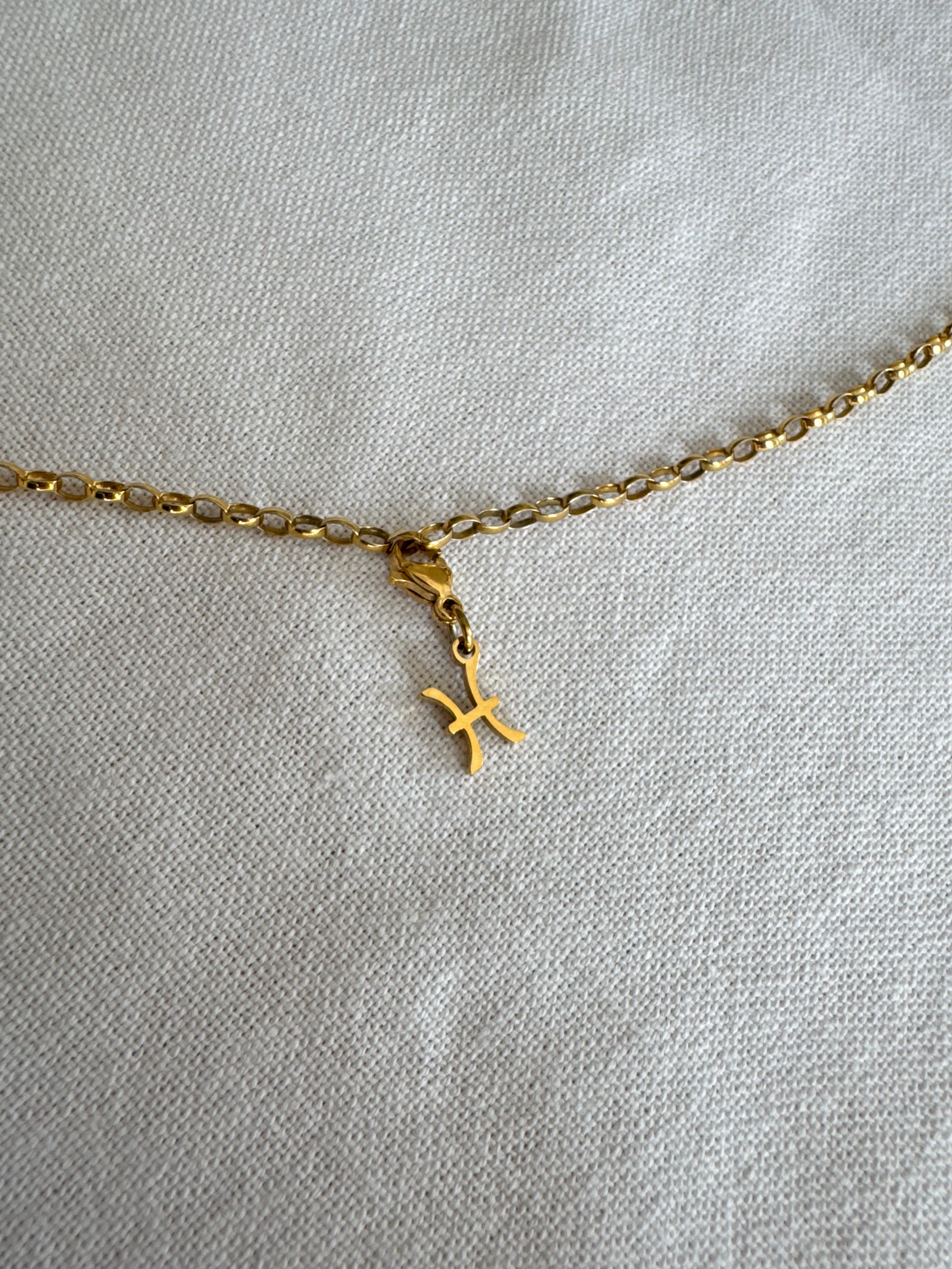 Fische Sternzeichen Charm