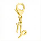 Capricorn zodiac charm in 18k gold with exact GLIIM clip, photographed for a clean e-commerce layout.